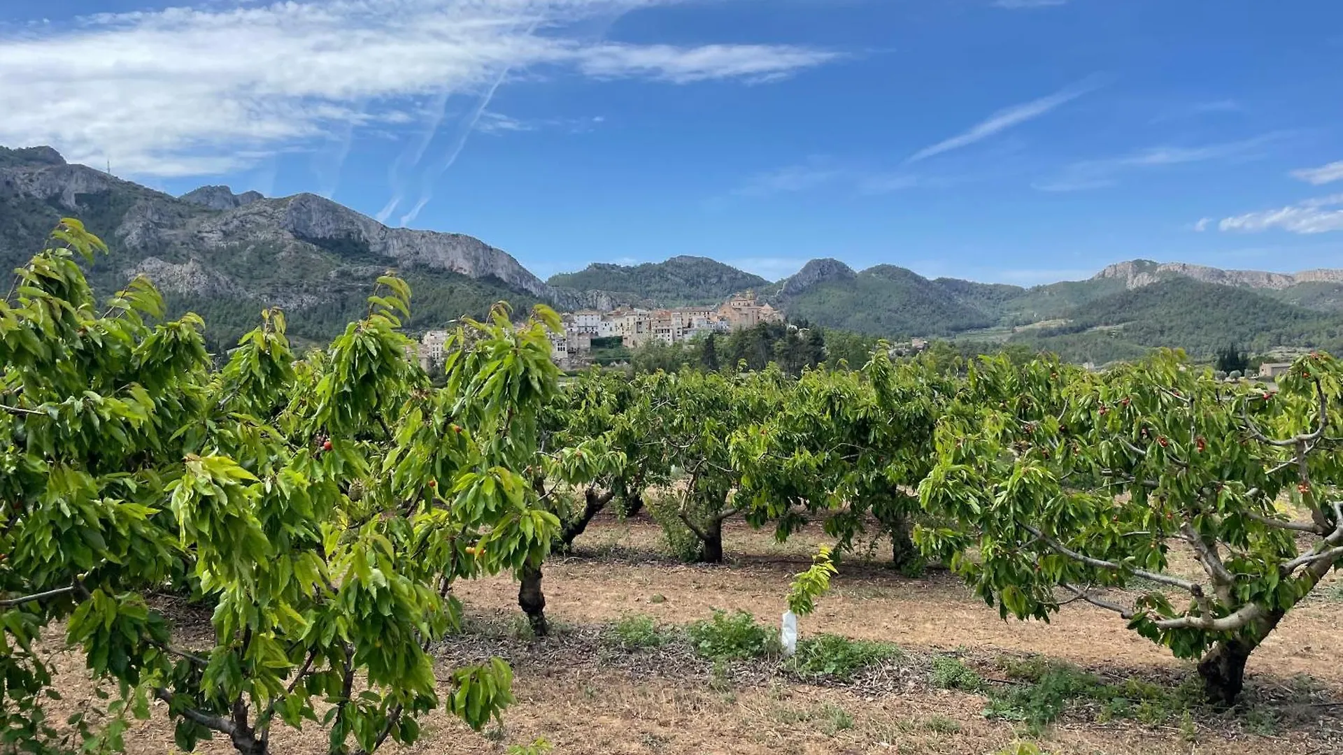 Apartamento Ca Blai de Brull en el centro de Tivissa